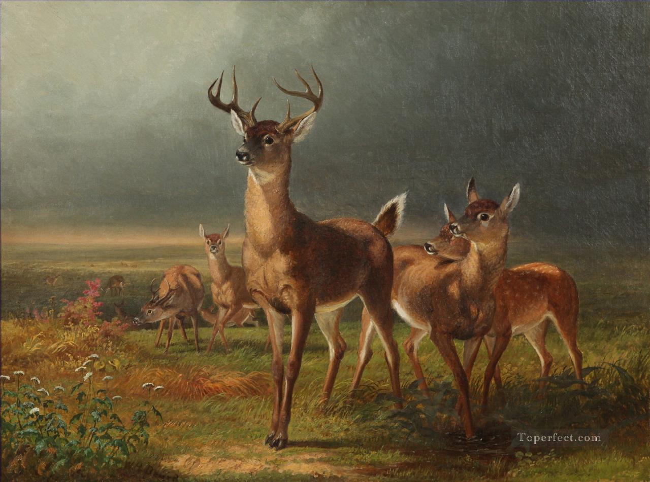 Deer On The Prairie William Holbrook Beard Oil Paintings